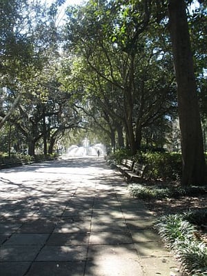 Forsyth Park by null