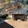 Alpine Junk Removal