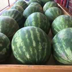 Purple Onion - Fresh Fruit Daily