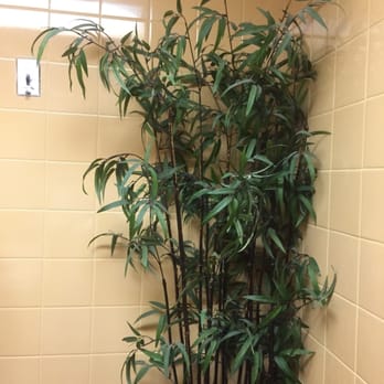 Dunkin' - Beautiful bathroom decor. - Donuts Near Me - Stamford, Connecticut Dunkin' - Beautiful bathroom decor. - Donuts Near Me - Stamford, Connecticut
