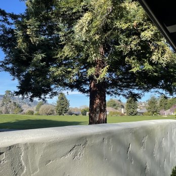 The Quail - The patio scenery - Hotels Near Me - Carmel, California