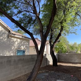 a tree in the foreground and a house in the background a tree in the foreground and a house in the background