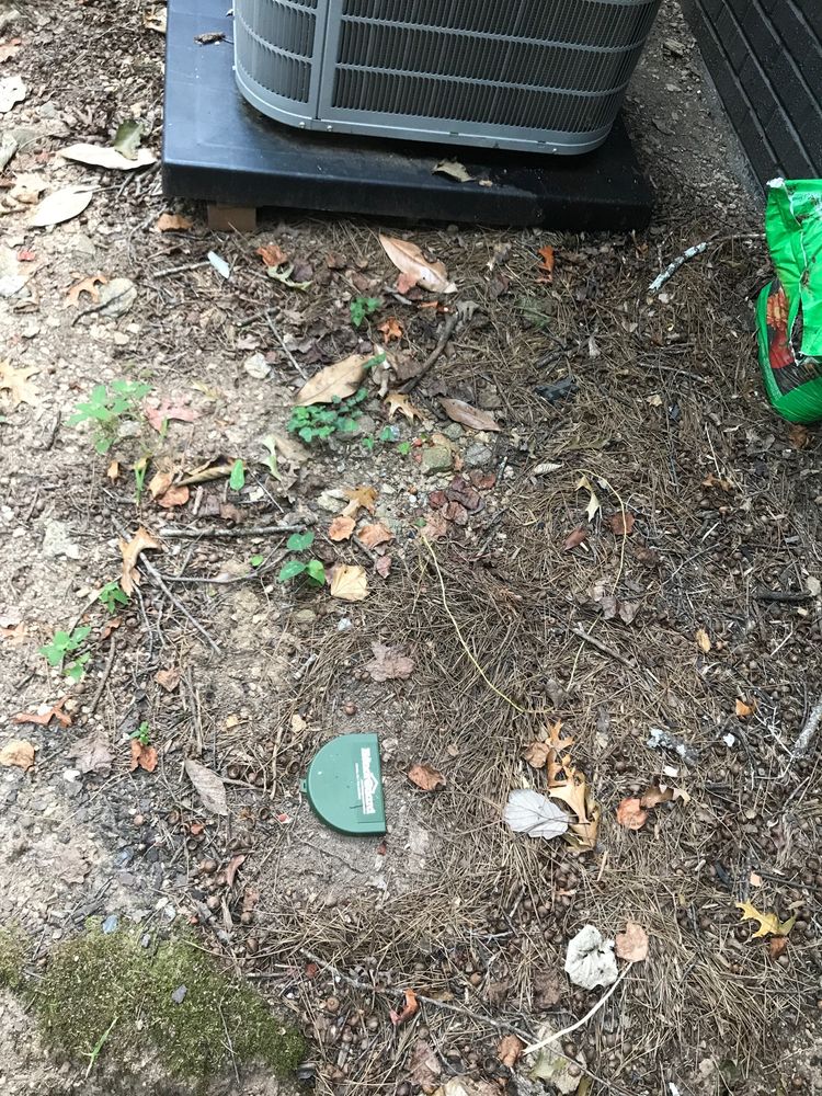 PEST MANAGEMENT Updated July 2024 21 Reviews 11535