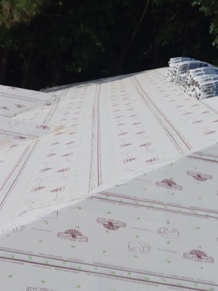 Slide of Carsyn Strong Repairs