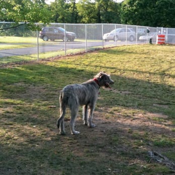 Winchester Dog Park - Winchester Dog Park - Dog Parks Near Me - Winchester, Virginia Winchester Dog Park - Winchester Dog Park - Dog Parks Near Me - Winchester, Virginia