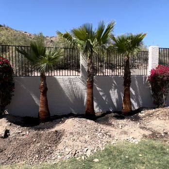 Majesty Lands - After - Landscaping Near Me Majesty Lands - After - Landscaping Near Me