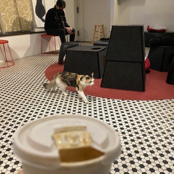 Koneko - Breakfast & Brunch Near Me - New York, New York