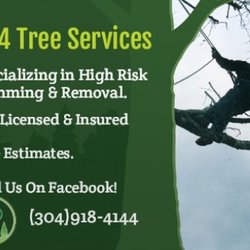 304 Tree Services - 304 Tree Services Advertisement