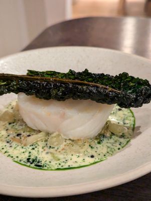 The Silver Birch by null