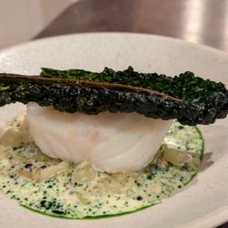The Silver Birch - Simply lovely cod