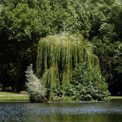 Stadtpark Rheinberg