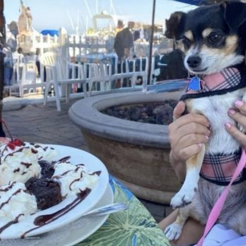 Wind & Sea - Sadie and my birthday a few years ago at Wind & Sea one of my favorite memories there of many ! - Seafood Near Me - Dana Point, California Wind & Sea - Sadie and my birthday a few years ago at Wind & Sea one of my favorite memories there of many ! - Seafood Near Me - Dana Point, California