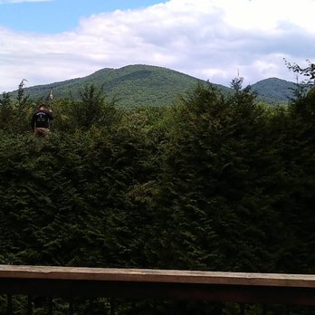 Marsam Tree Service - Before... - Tree Services Near Me - Arden, North Carolina