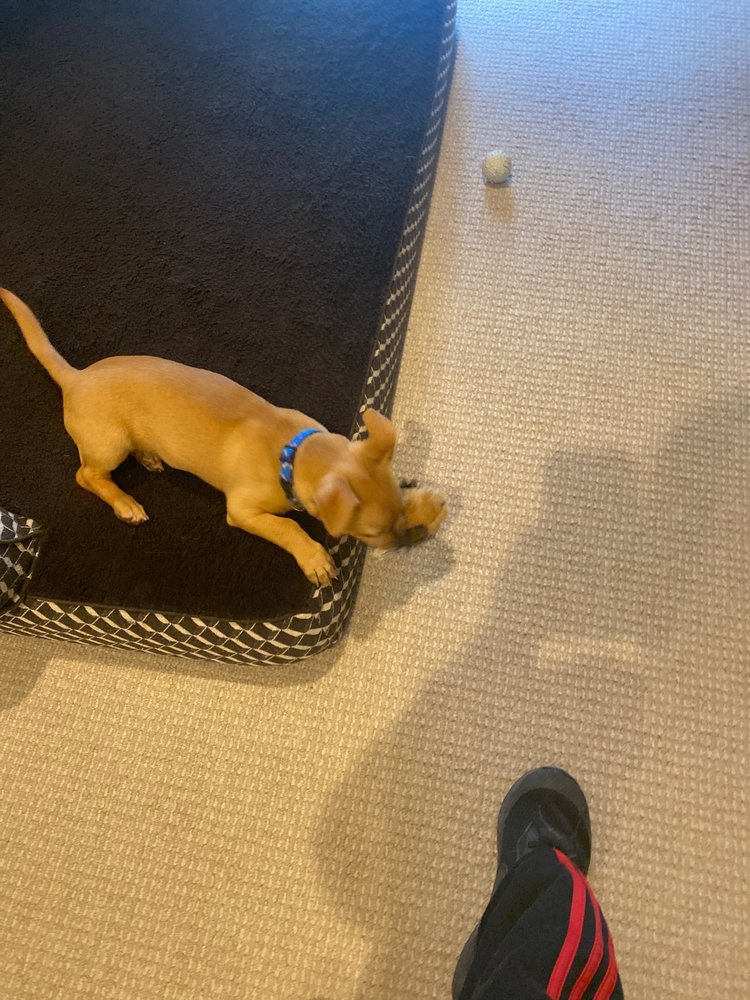 MONKEY HOUSE CARBONDALE Updated June 2024 898 Hwy 133, Carbondale