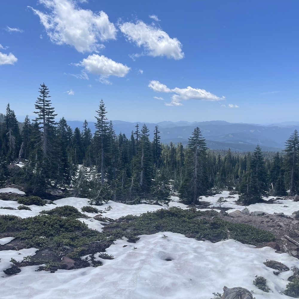 Bunny Flat Trail - Hiking Near Me - Mount Shasta, California
