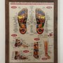 Photo of Longevity Acupuncture and Herbs