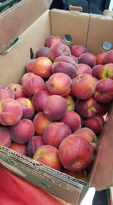 Brookhaven Farmers Market by null