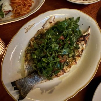 Milton's American Trattoria - Branzino - Italian Near Me - Houston, Texas Milton's American Trattoria - Branzino - Italian Near Me - Houston, Texas