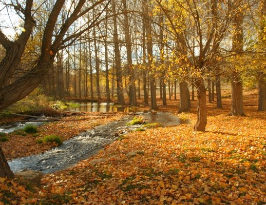 Hope Haven Counseling