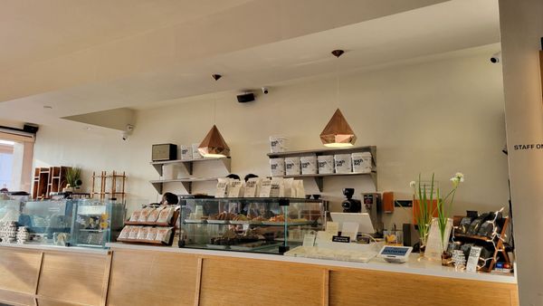 Enchanted Coffee Bar by null