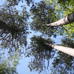 Fallison Lake Nature Trail