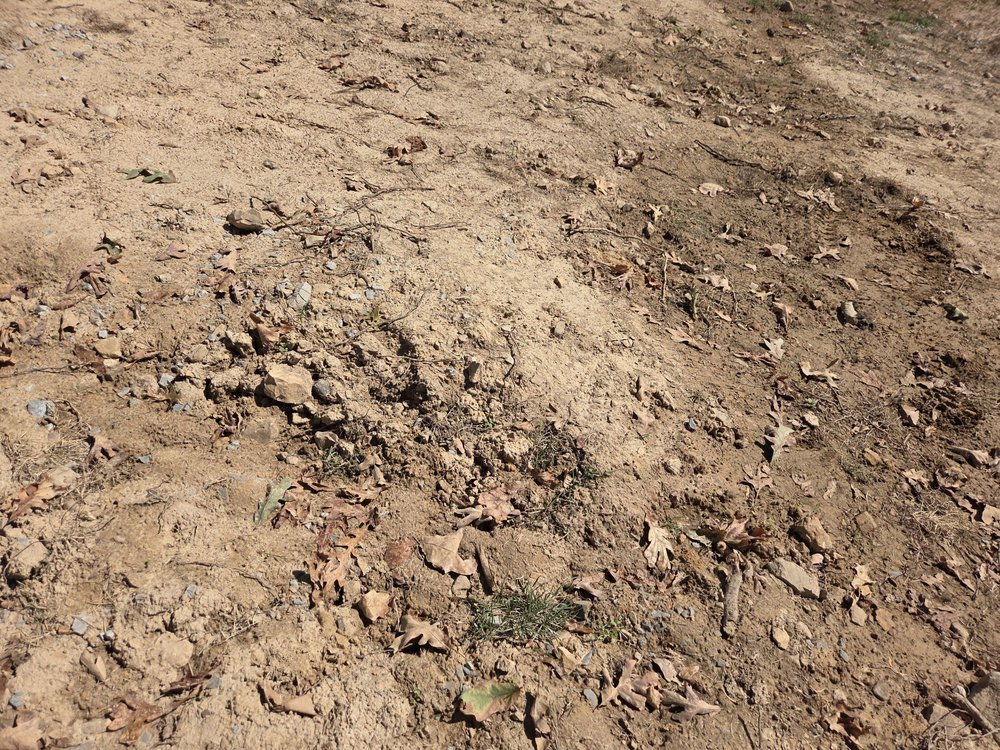 Patriot Landworks & Development - veterans service organization in Yellville, AR