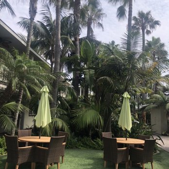 Ocean Palms Beach Resort - Small portion of outdoor area. - Hotels Near Me - Carlsbad, California Ocean Palms Beach Resort - Small portion of outdoor area. - Hotels Near Me - Carlsbad, California