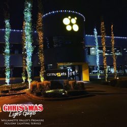 The Christmas Light Guys