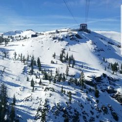 NAC SKI Bus - Thank you Nac Ski for allowing my family to visit tahoe without breaking the bank