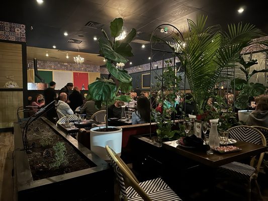 Sarrica's Little Italy by null