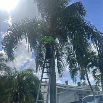 Charly Tree Landscaping - Landscaping Near Me