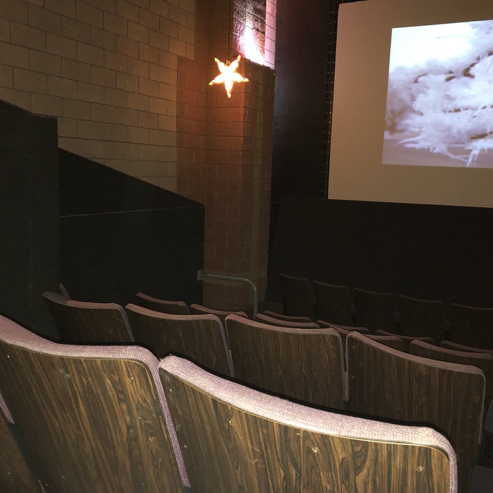 Pharaohplex Studios - Seats - Cinema Near Me - Corvallis, Montana Pharaohplex Studios - Seats - Cinema Near Me - Corvallis, Montana