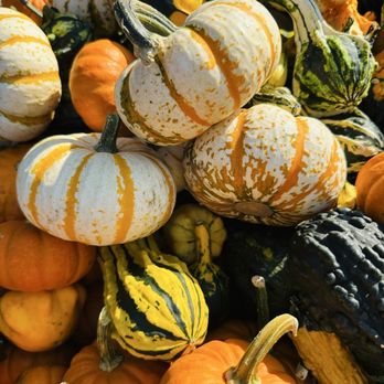 Delicious Orchards - Fruits & Veggies Near Me - Colts Neck, New Jersey