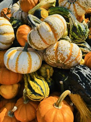 Delicious Orchards by null