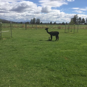 Crescent Moon Ranch - Ranches Near Me - Terrebonne, Oregon
