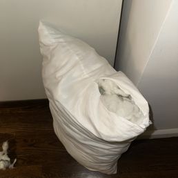For some reason this pillow is tearing at the seams.