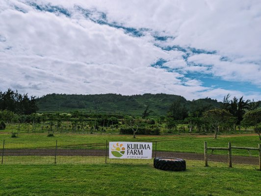 Kuilima Farm Stand by null