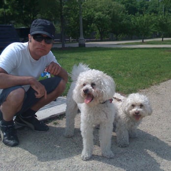 Modern Pet - Israel with Yoshi and Einstein - Dog Walkers Near Me - Chicago, Illinois Modern Pet - Israel with Yoshi and Einstein - Dog Walkers Near Me - Chicago, Illinois