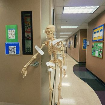 Carrington College - Educational Services Near Me - Las Vegas, Nevada