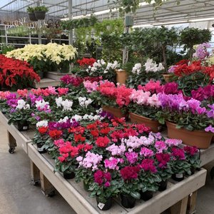 Photo of Heritage Farm and Garden - Muttontown, NY, United States