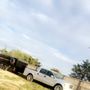 Coyote Hauling