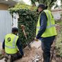 Evergreen Gardening & Maintenance