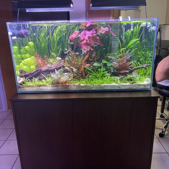 Pet Town - Plants from Pet town are always super healthy - Pet Stores Near Me - Downey, California Pet Town - Plants from Pet town are always super healthy - Pet Stores Near Me - Downey, California