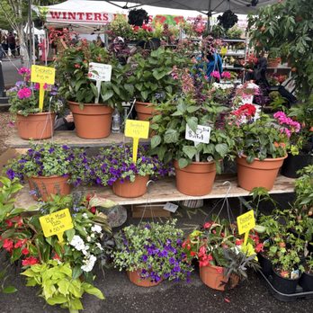Beaverton Farmers Market - Plants to attract hummingbirds - Farmers Market Near Me - Beaverton, Oregon