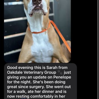 Oakdale Veterinary Group - Text update from OVG staff the evening after surgery. - Veterinarians Near Me - Oakdale, California