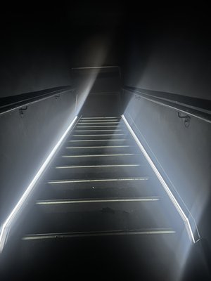 The Continental Club by null