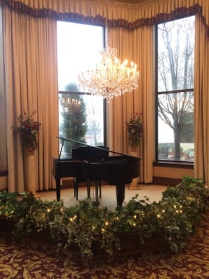 Crystal Gardens by null