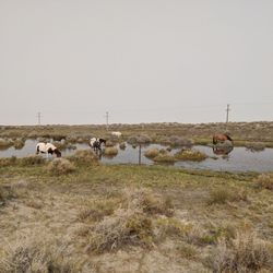 Trego Hot Springs