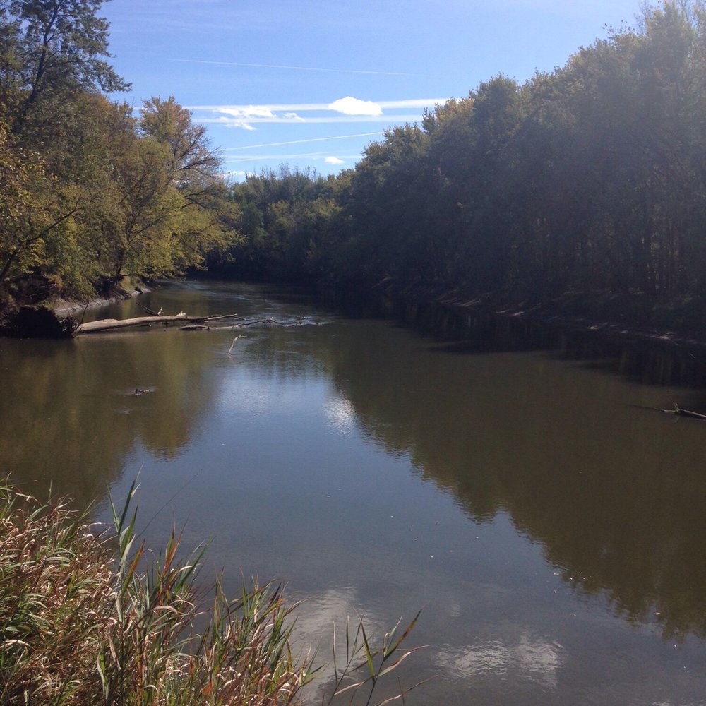 Pecatonica River Forest Preserve - View from grilling area - Parks Near Me - Pecatonica, Illinois Pecatonica River Forest Preserve - View from grilling area - Parks Near Me - Pecatonica, Illinois