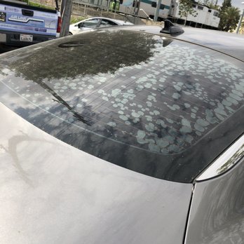Ace Tint & Sound - Rear windshield tiny by Ace Auto Tint - Car Stereo Installation Near Me - Paramount, California